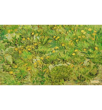 A Field With Dandelions