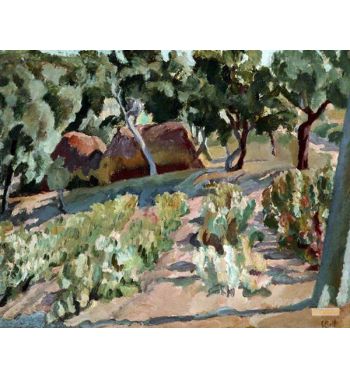 The Vineyard