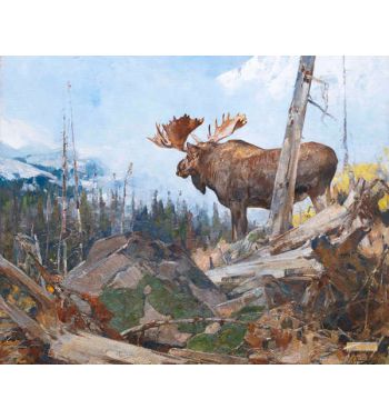 Alaskan Wilderness