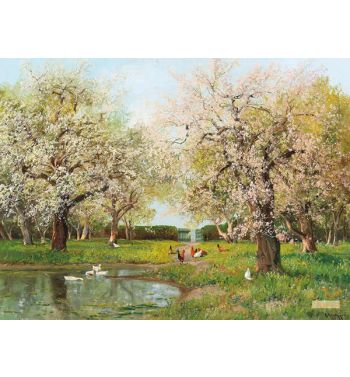 Spring Day