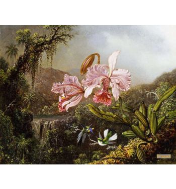 Orchids And Hummingbirds In A Brazilian Jungle C 1871 72