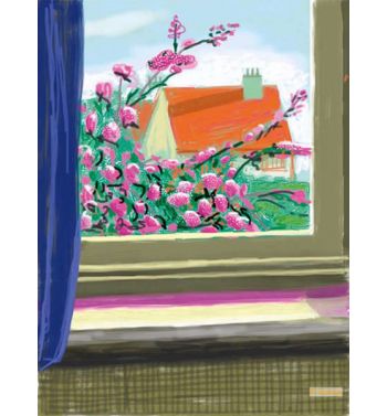 My Window