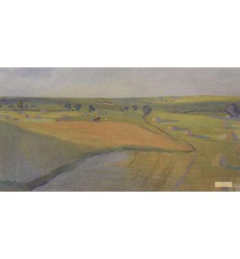 Fields Neskuchnoye