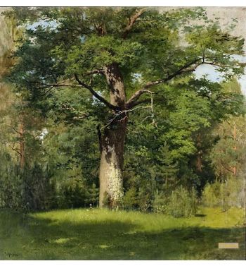 The Oak