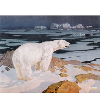 Polar Bear