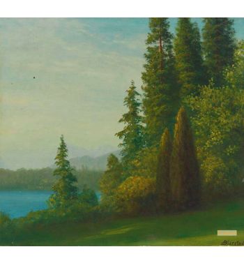 Landscape With Trees And Lake