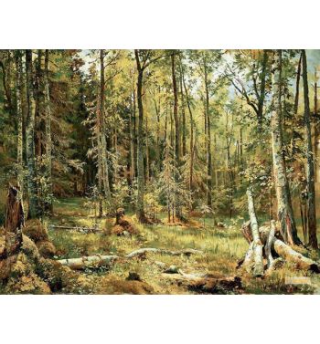 Mixed Forest