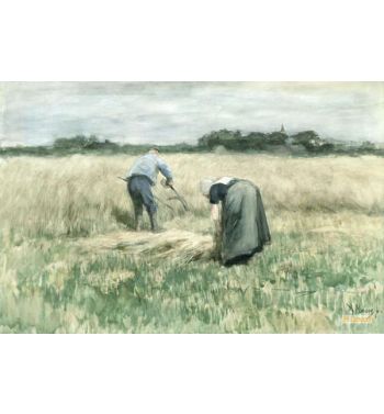 The Harvest