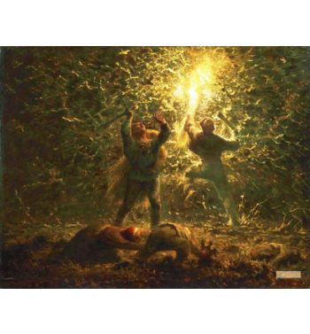 Hunting Birds At Night