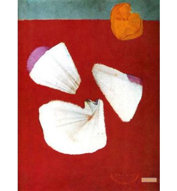 Shells And Flowers