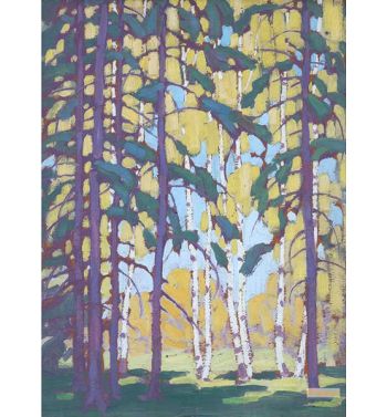 Algonquin Birches
