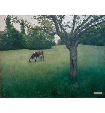 Prairie In Yerres