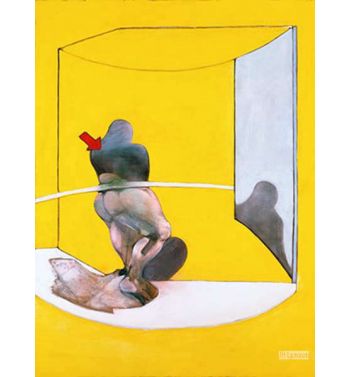 Study From the Human Body