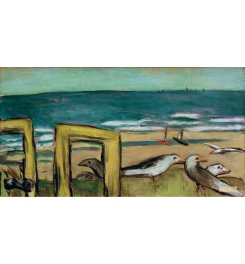 Seagulls, Sunny