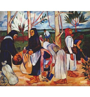 Planting Potatoes 1909