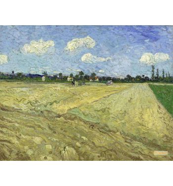 Ploughed Field