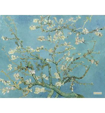 Blossoming Almond Tree
