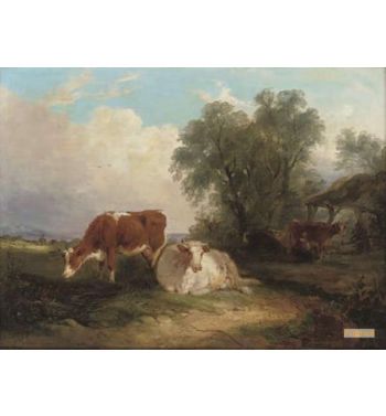 Cattle Resting In The Field