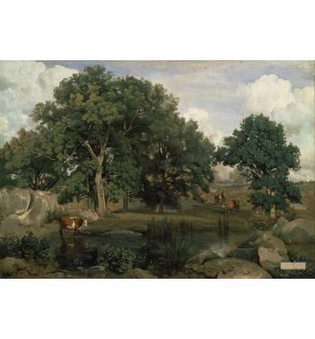 Forest Of Fontainebleau