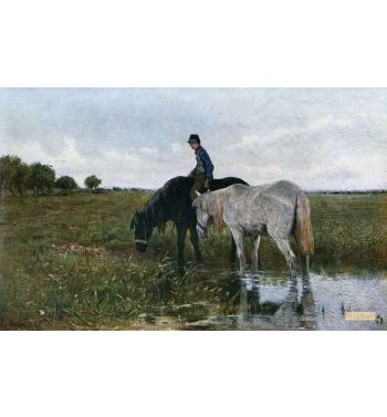 Watering Horses