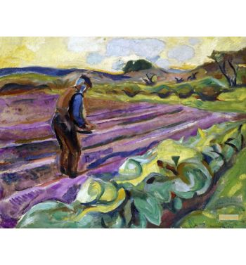 The Sower