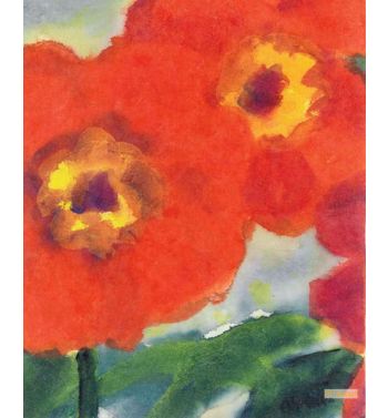 Red Poppy