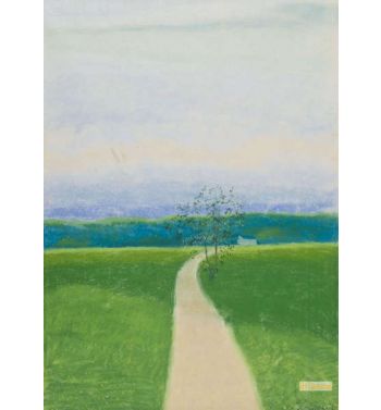 Walkway In The Field