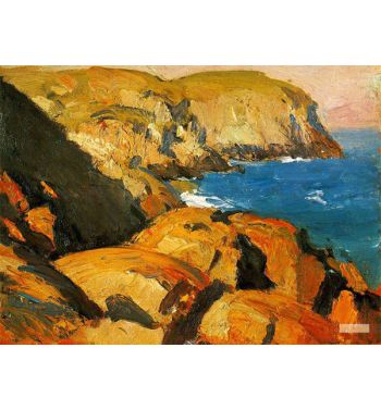 Blackhead Monhegan