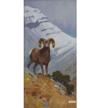 Big Horn Sheep 2