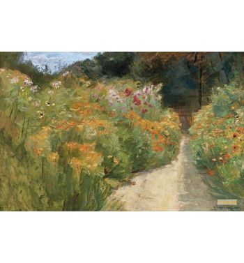 Blumenstauden In Wannseegarten