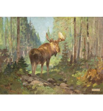Woodland Moose