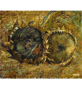 フィンセント・ヴィレム・ファン・ゴッホ（Vincent Willem van Gogh