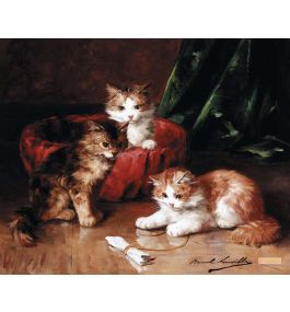 戦前後時代油彩油絵カンヴァス「３匹の戯れる子猫」題名作者不詳当時物コレクション ep6908_20230302130514143.jpg