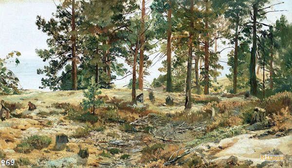 フィンランド 北欧 風景画 有名 フィンランド 画家 フィンランド 絵画